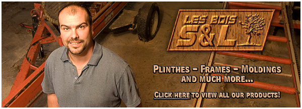 No Flash Player Pict